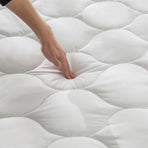 Quilted Cotton Mattress Pad