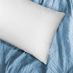 Allergy Bamboo Pillow Cover