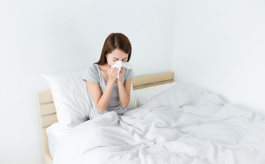 Allergens in Mattresses and How it Affects Your Health
