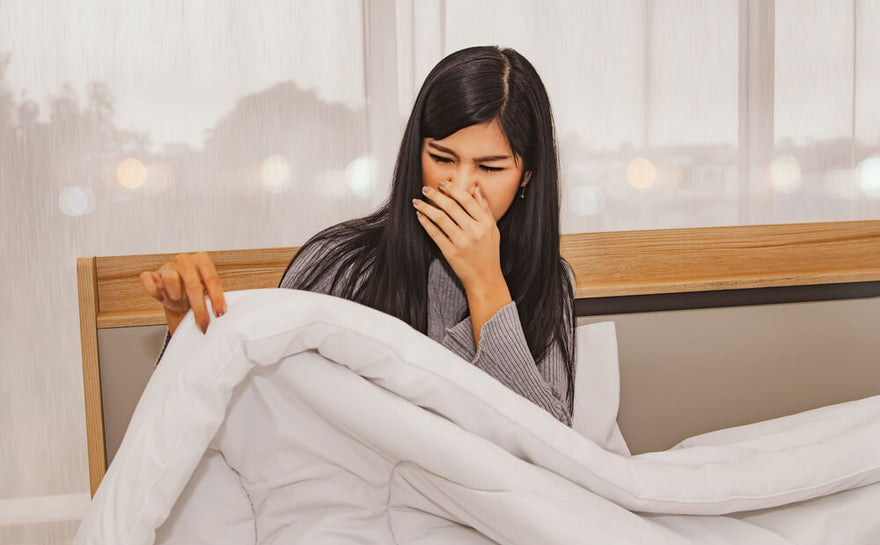 How to Get Rid of Dust Mites